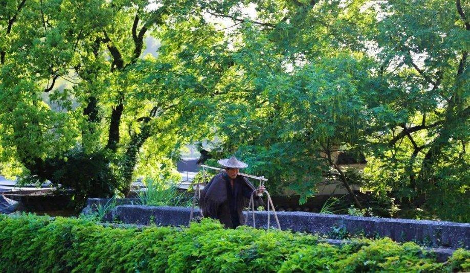 2份立减30元！崇明羊蝎子火锅在家吃！鲜嫩多汁，香而不膻，滋补又暖身！